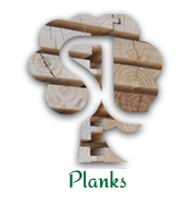 Plank